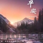 500足球比分-500足球比分，数据背后的激情与策略交响曲